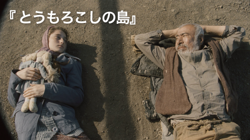 とうもろこしの島｜DICE+