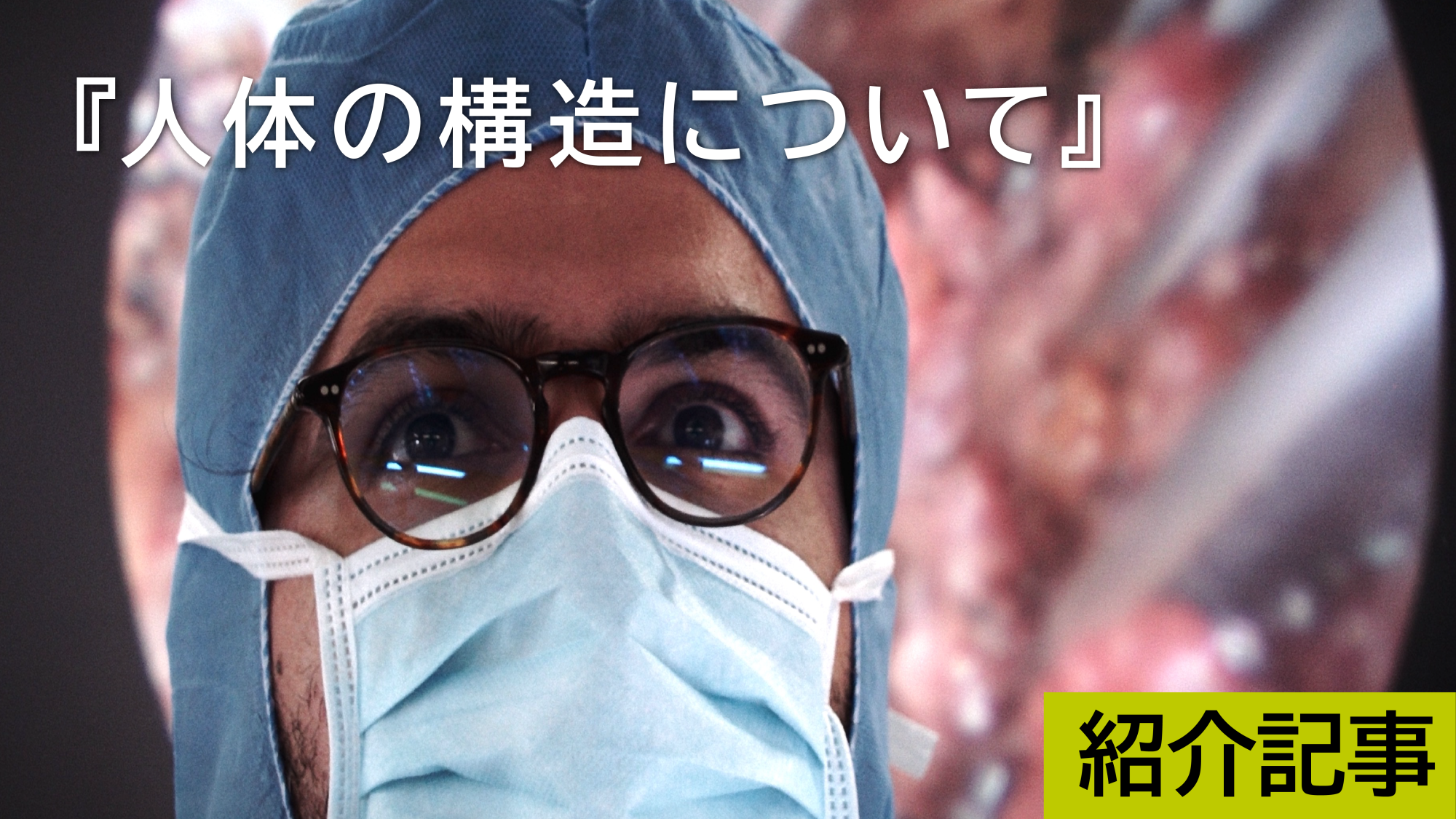 『人体の構造について』自分のことを知らずに死んでいくよりは、体の中を見て人間の身体を知ってから死にたいという極少数の人に超お勧めの映画