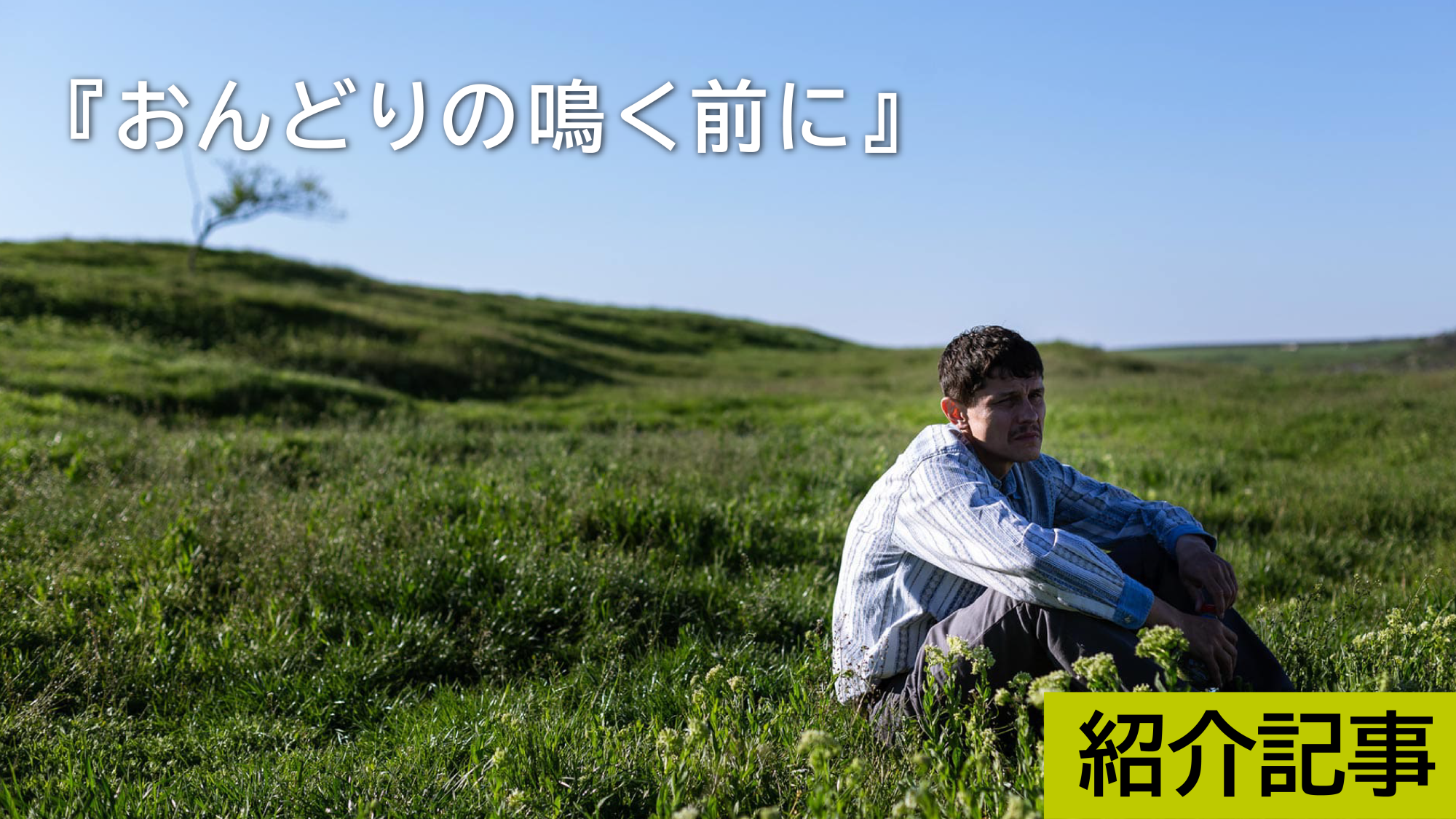 『おんどりの鳴く前に』衝撃のラストシーン、それは愚かさのためか、美しさのためか―。