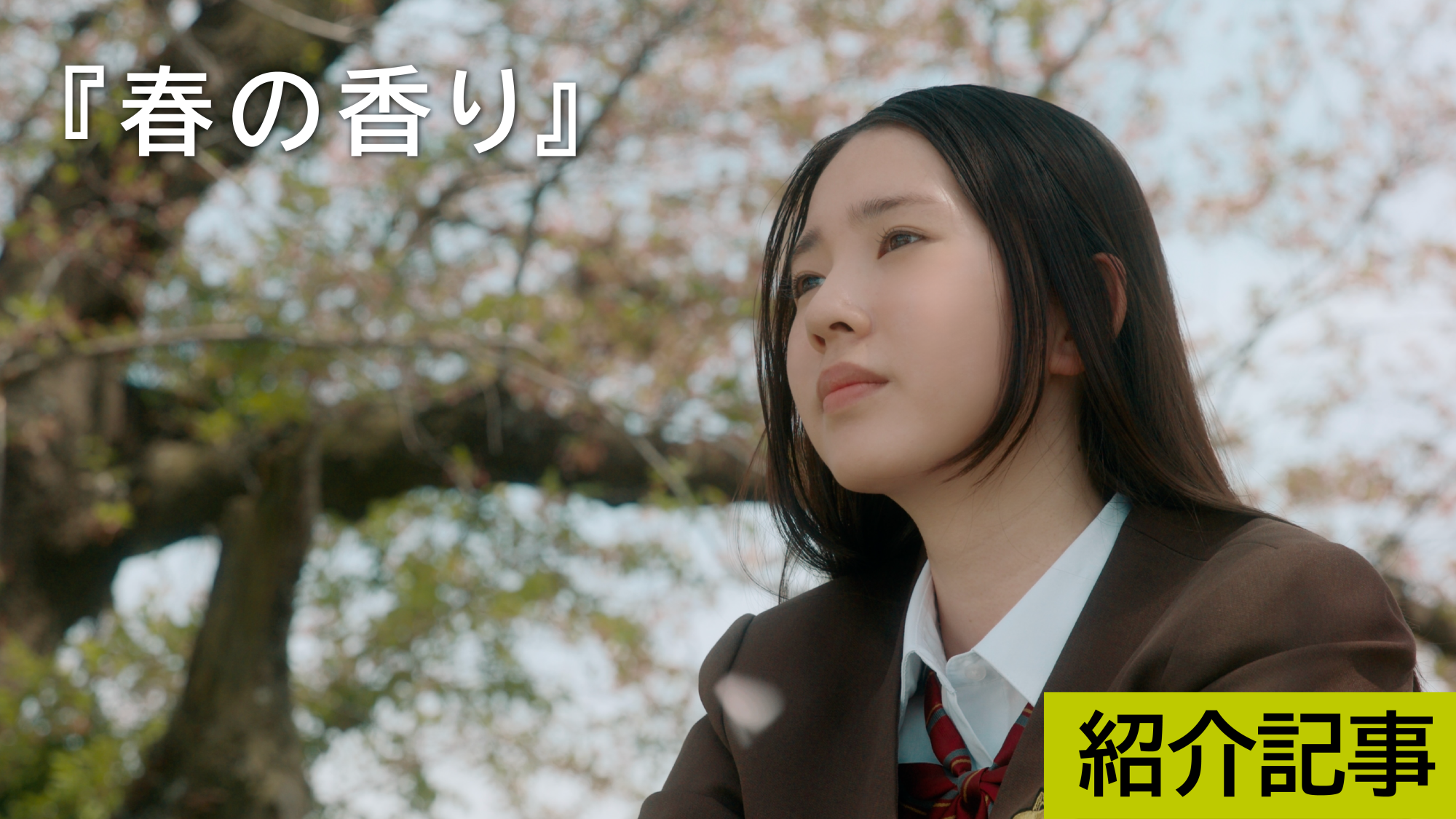 『春の香り』どんな命も自分1人のものではありません。命とは、必ず誰かと共にあるものだと思います