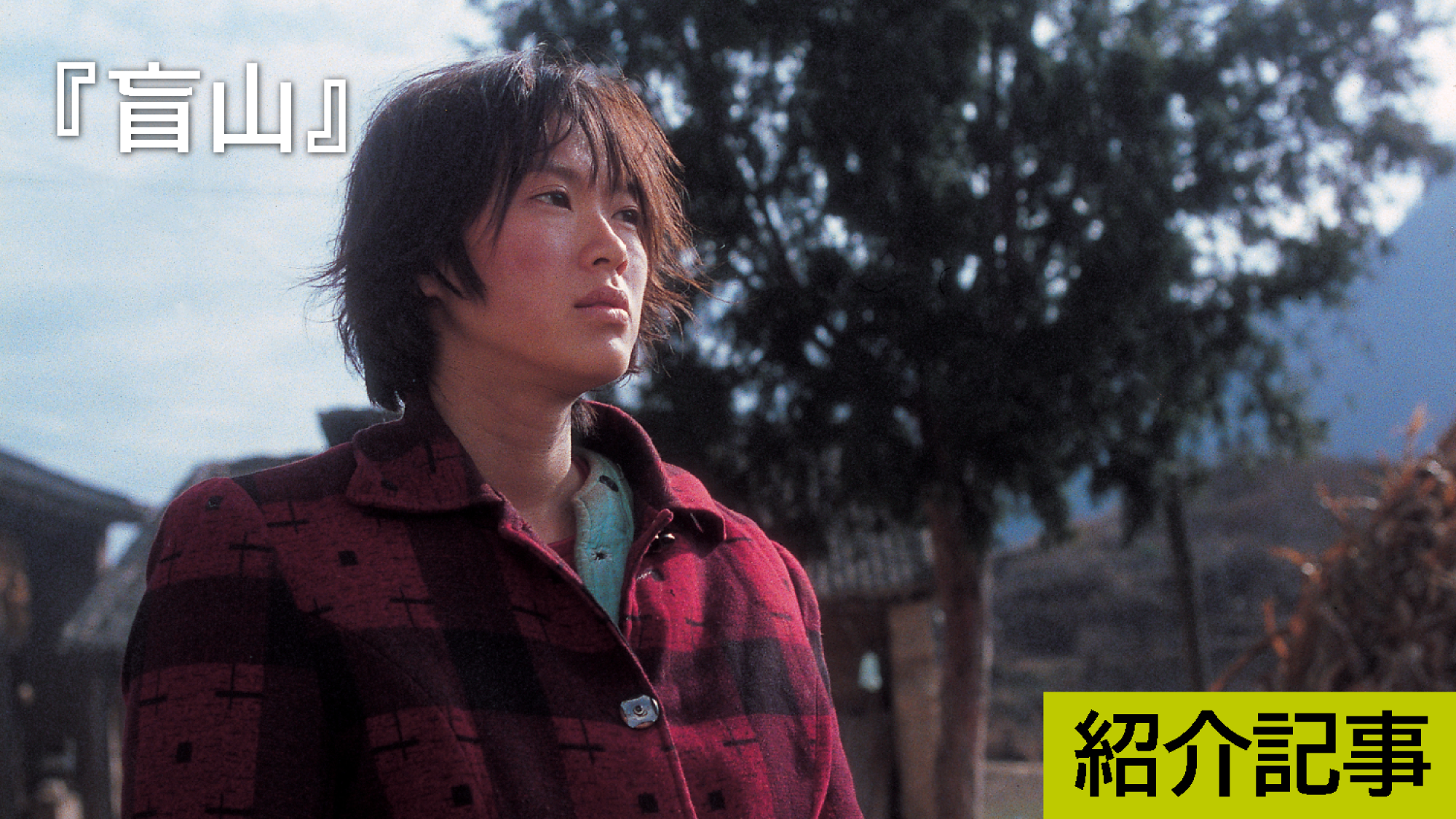 『盲山』ただ“観る”だけでは済まされない痛烈な体験となる映画